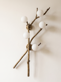 Shakha Branch Wall Light in antique cast brass with five opal glass globes, front view on a plain wall
